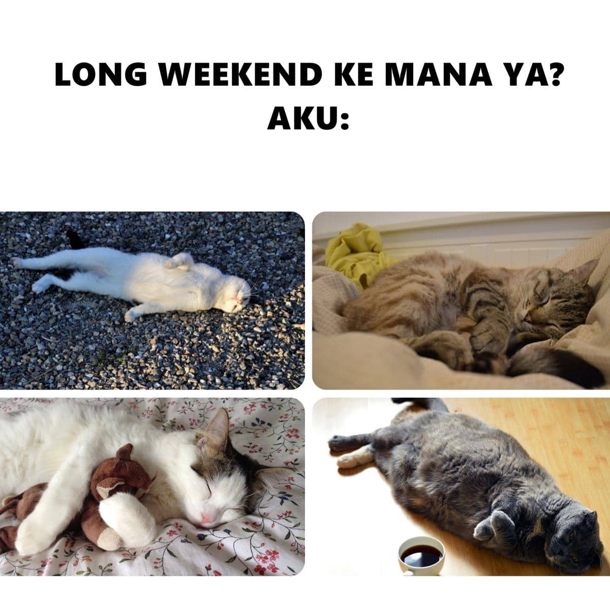 Empat foto kucing tidur dalam berbagai posisi lucu menggambarkan suasana santai saat long weekend dengan teks humor di atasnya.