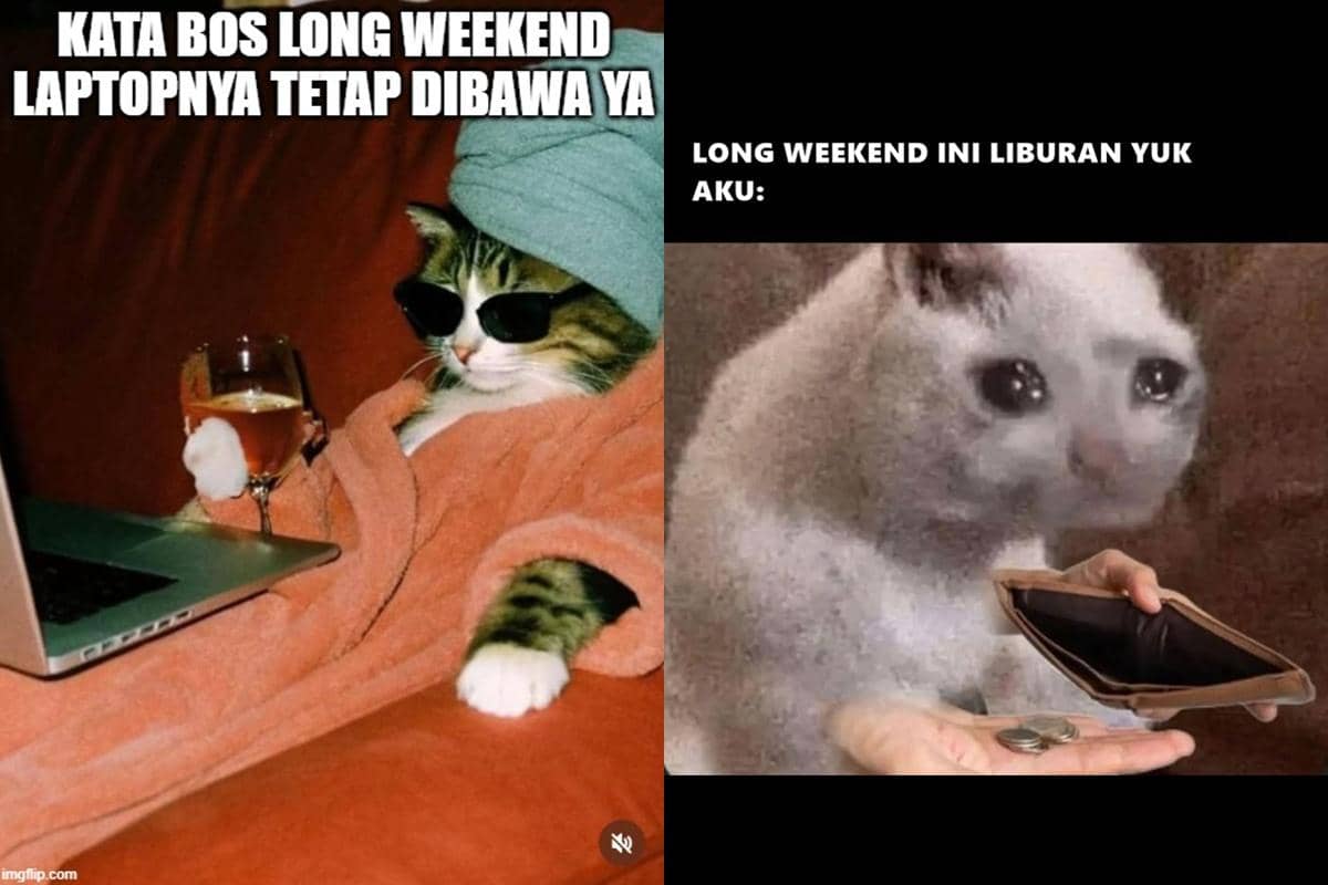 8 Meme Kucing Saat Long Weekend, Manakah yang Mirip Denganmu?