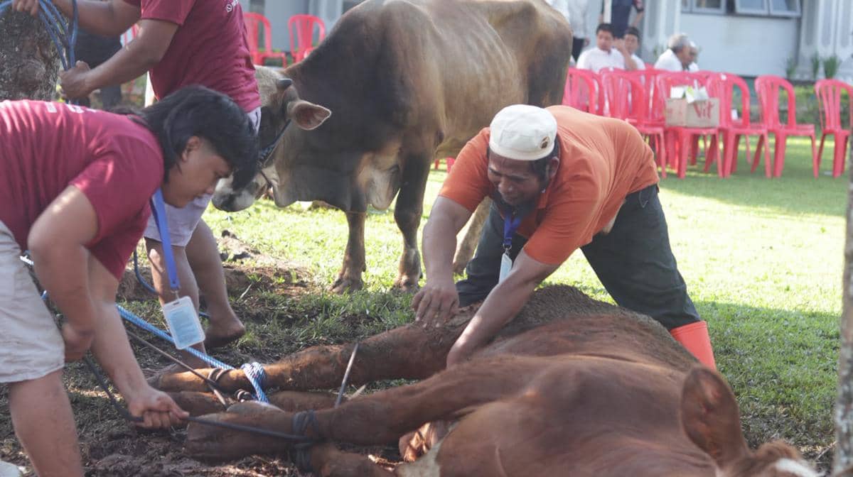 Belasan Napi Ikut Nyengkuyung Sembelih Hewan Kurban di Semarang