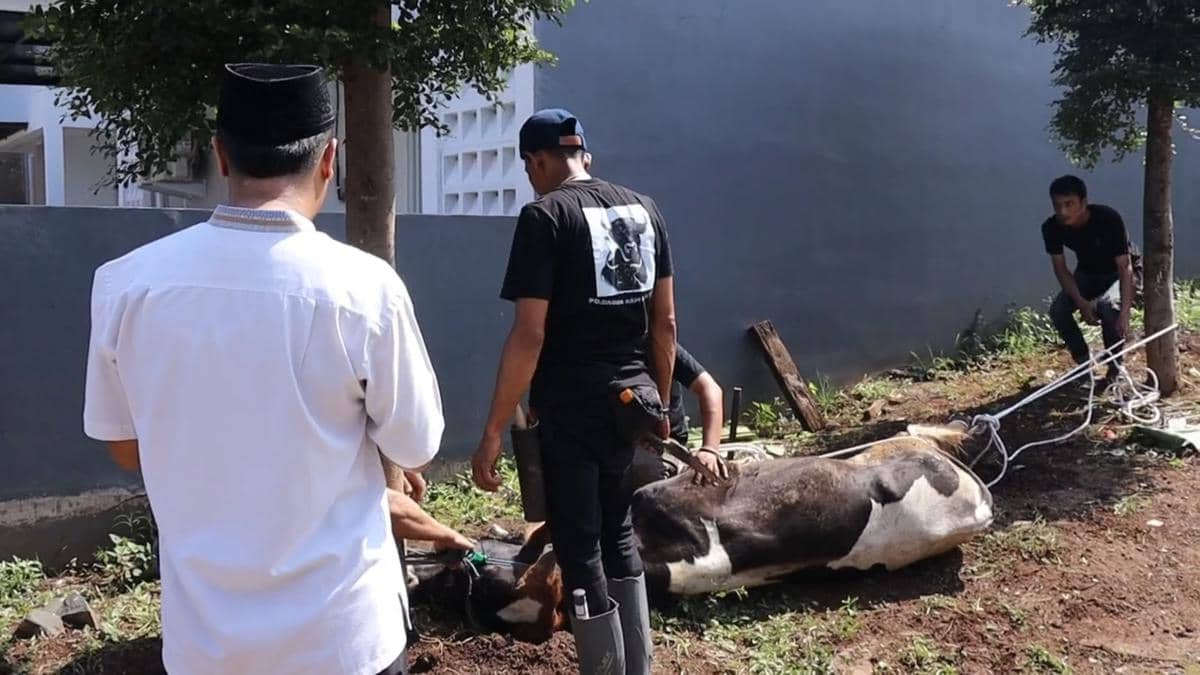Cerita Fahri, Pemuda Bandung yang Jadi Juru Sembelih Kurban Sejak SMA