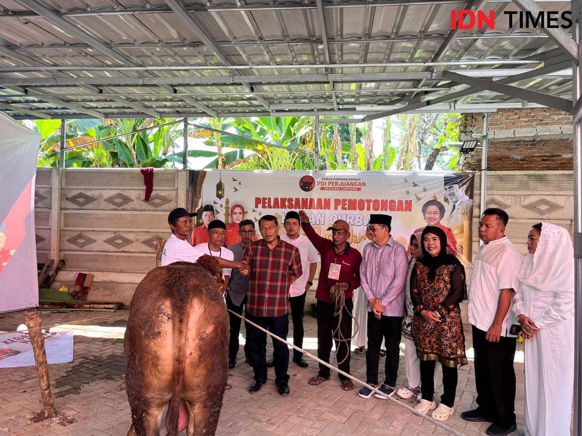Serukan Kekompakan, DPD PDIP Lampung Sembelih 14 Hewan Kurban