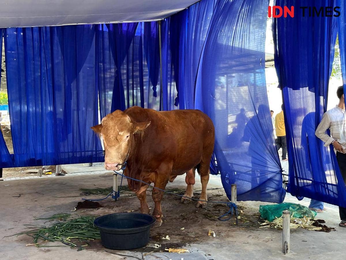 Selain Kunker Luar Negeri, Ini Program yang Diklaim Pakai Uang Prabowo