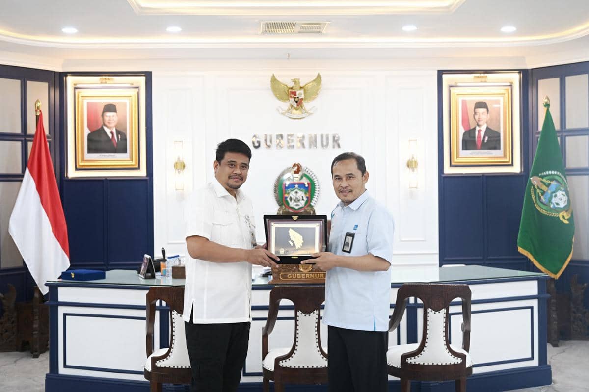 Gubsu_Terima Audiensi GM. PLN IUD Sumut 2.jpg