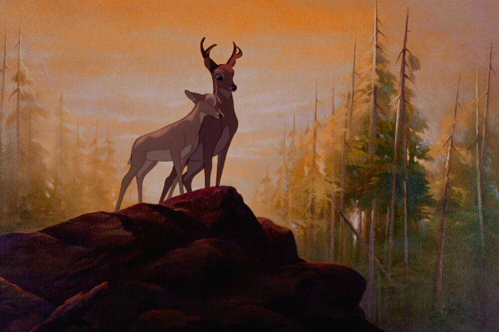 Bambi dan Feline