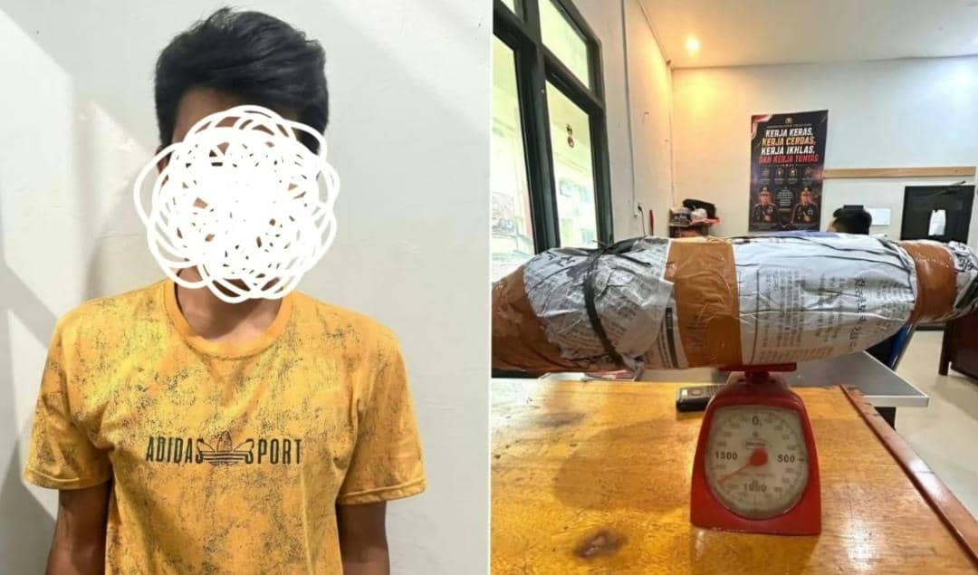 Pemuda Empat Lawang Ditangkap Bawa 1,3Kg Ganja yang Dibungkus Koran