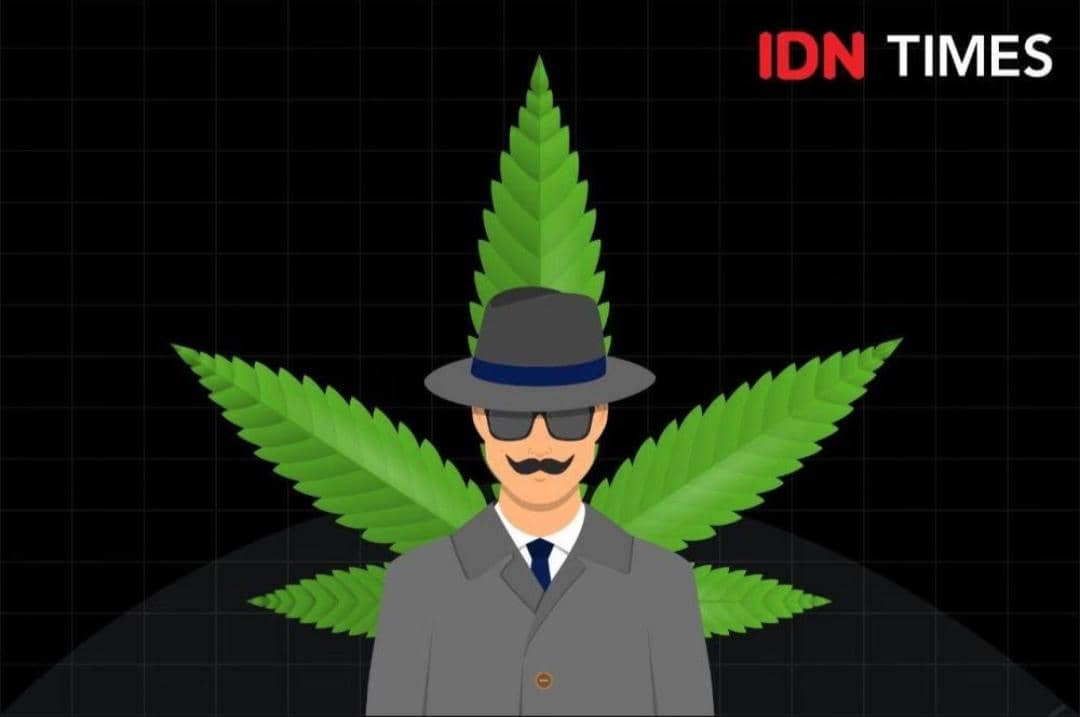 Ilustrasi pengedar ganja (IDN Times/Arief Rahmat)