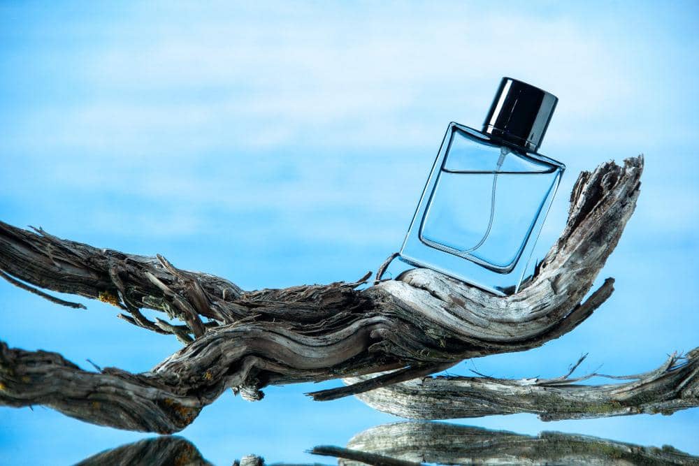 ilustrasi parfum cowok