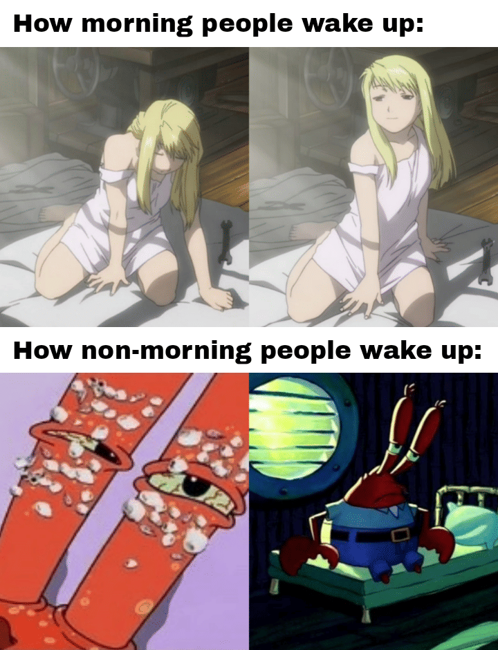 meme kartun tentang morning person