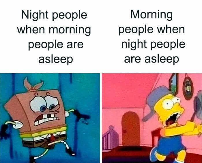 meme kartun tentang morning person
