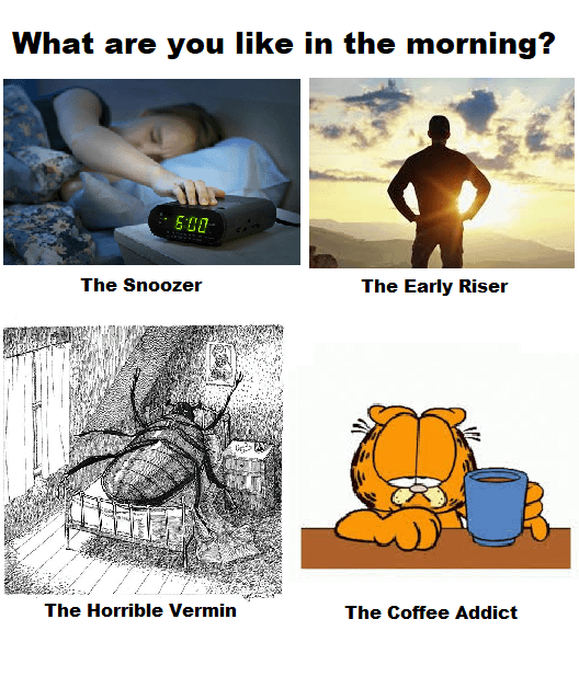 meme kartun tentang morning person