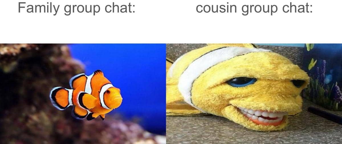Meme kartun menampilkan perbandingan antara ikan badut asli di laut dan boneka ikan kuning dengan wajah lucu sebagai humor grup chat keluarga dan sepupu.