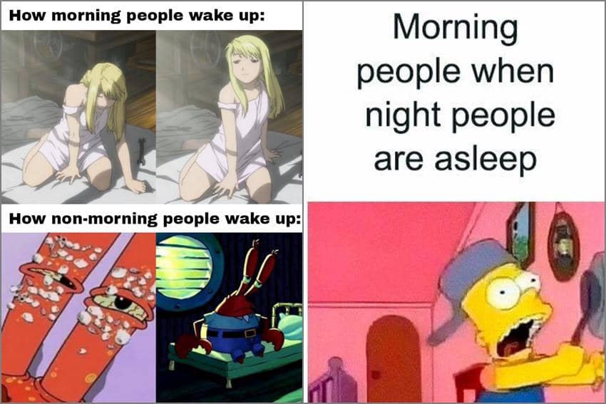 7 Meme Kartun tentang Morning Person, Jangan-Jangan Belum Tidur?