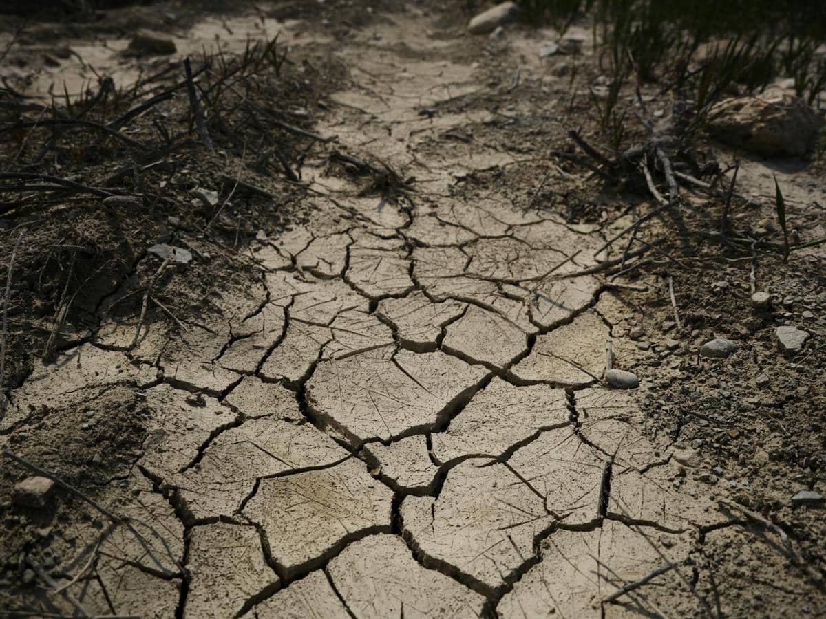 372 Hektare Sawah di Lebak Banten Kekeringan Akibat Kemarau