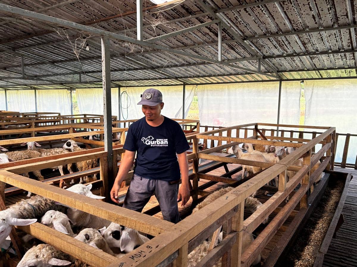 kurban, ybm brilian, bri kendal, iduladha