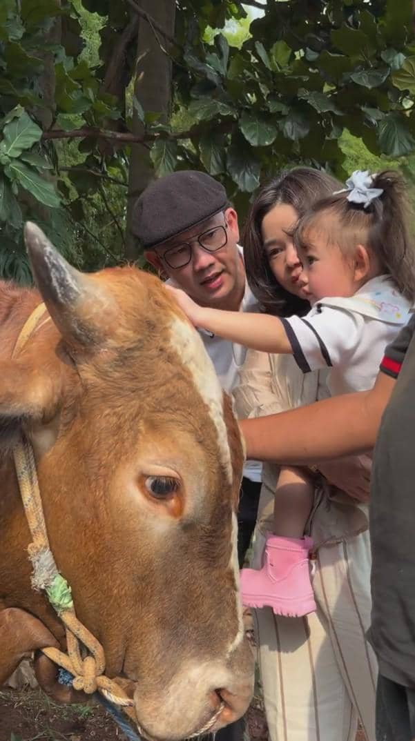 Seorang pria bersama wanita dan anak kecil menyentuh seekor sapi berwarna cokelat di area terbuka dengan pepohonan di belakangnya.