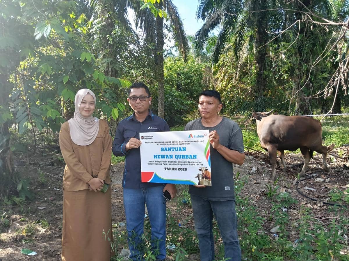 Tiga orang berfoto bersama sambil memegang papan bantuan hewan kurban dari PT Indonesia Asahan Aluminium di area perkebunan dengan seekor sapi di belakang mereka.