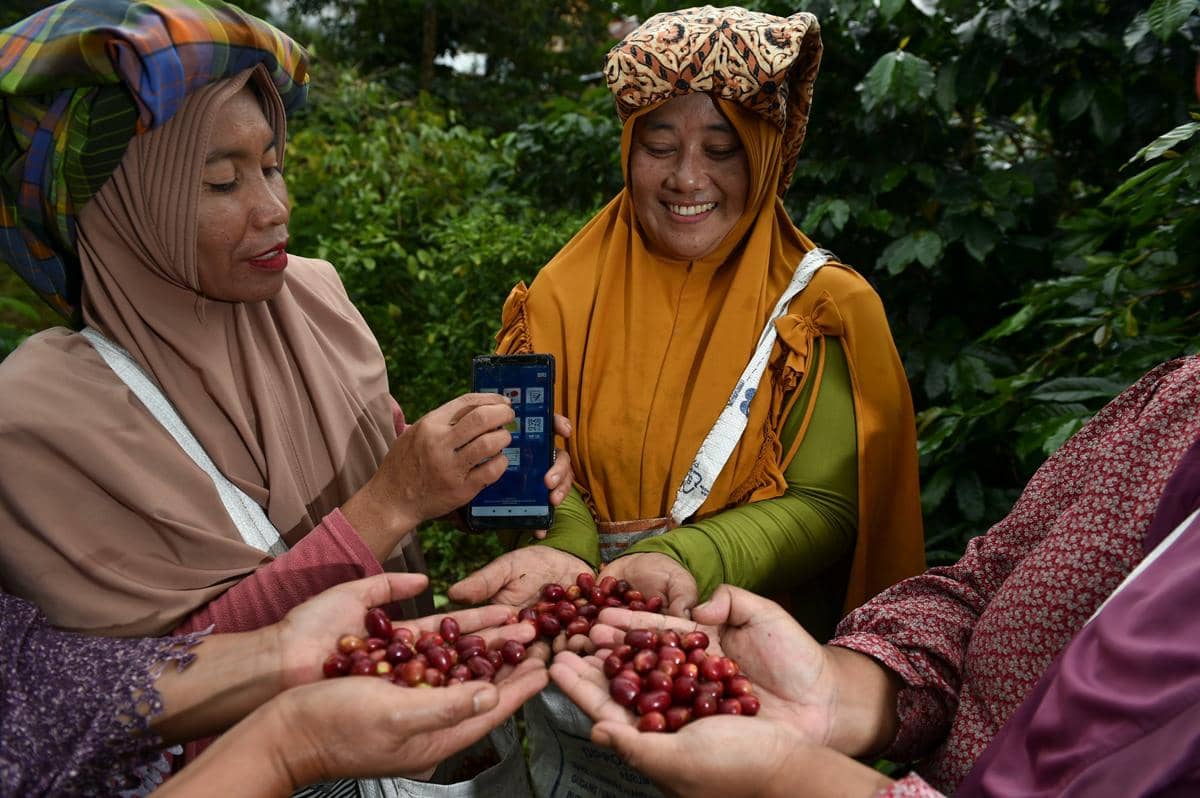 BRI Perkuat Ketahanan Pangan Lewat Penyaluran KUR Rp65,95 Triliun