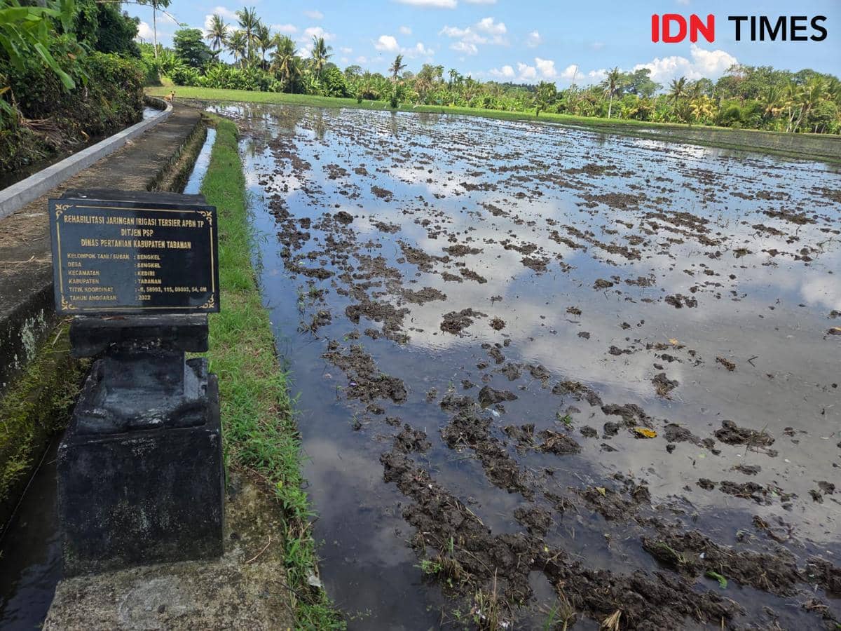 Desa Bengkel Ubah Sampah Jadi Pupuk Pertanian Organik
