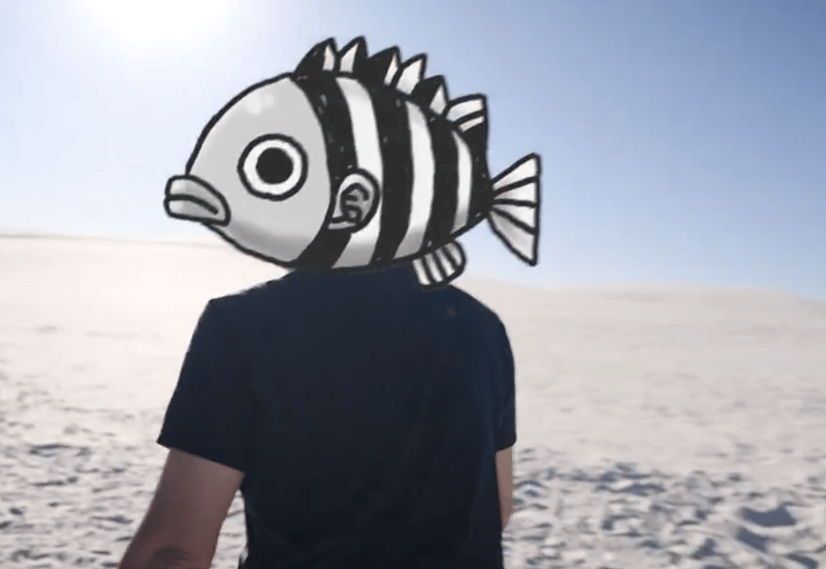 Seseorang mengenakan ilustrasi kepala ikan bergaris hitam putih di lokasi bersalju dengan langit cerah di latar belakang.