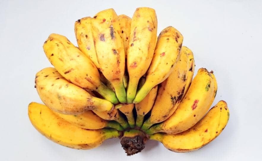 pisang raja (vecteezy.com/Fitriani .)