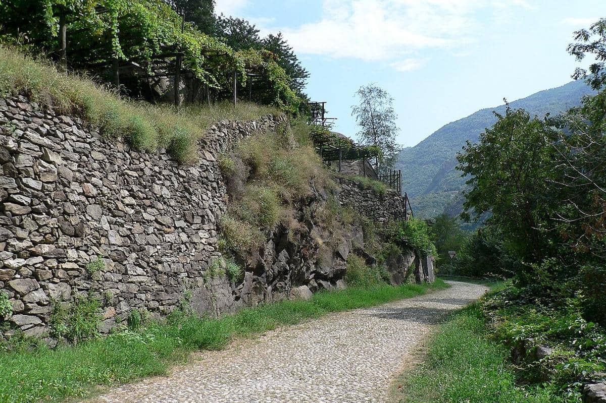 Via Francigena