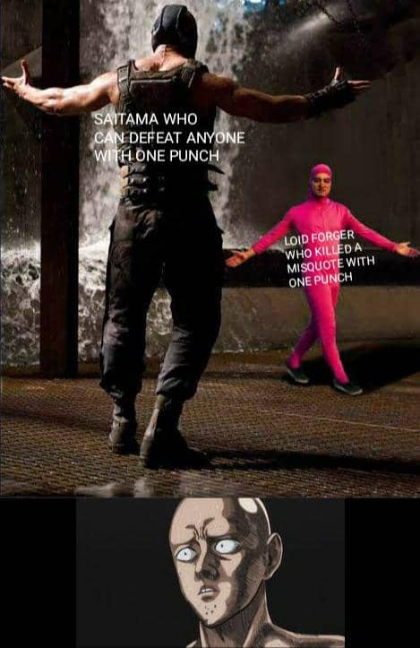 meme anime tentang lawan sepadan