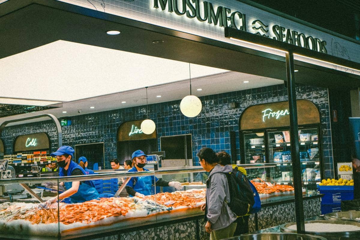 ilustrasi bisnis frozen food