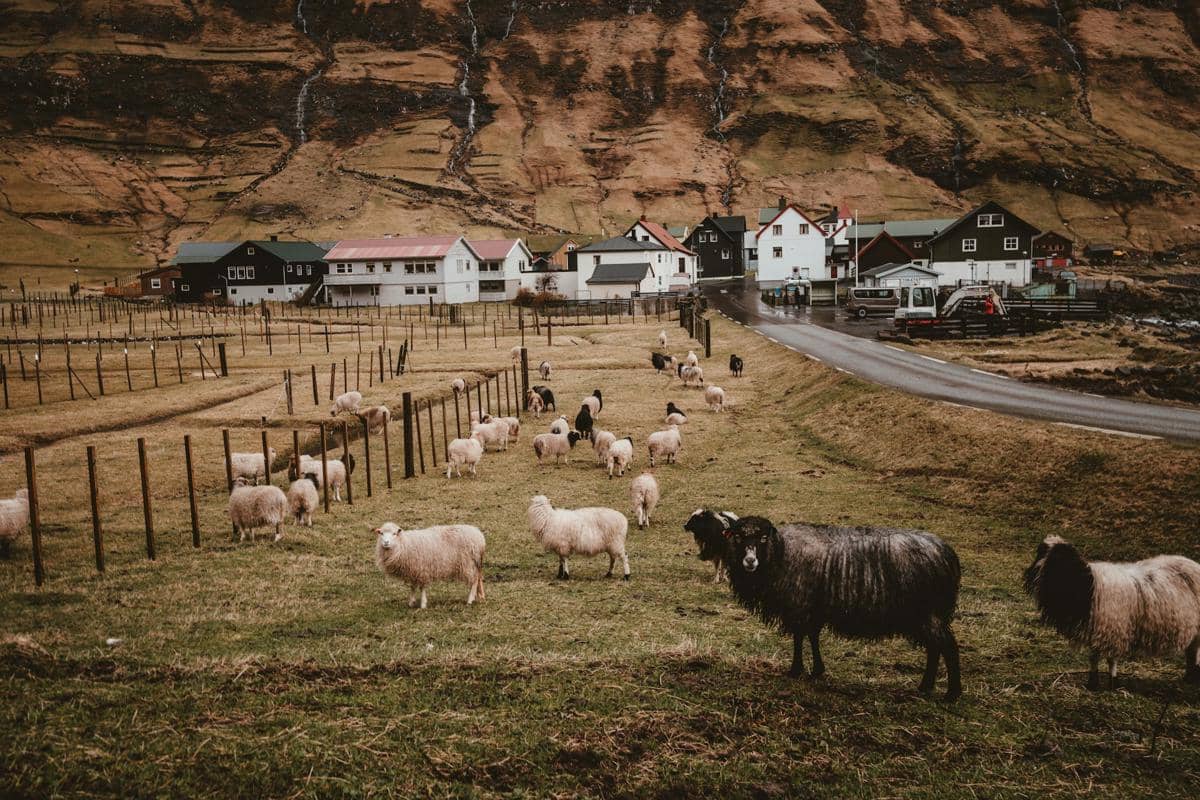 Faroe Islands