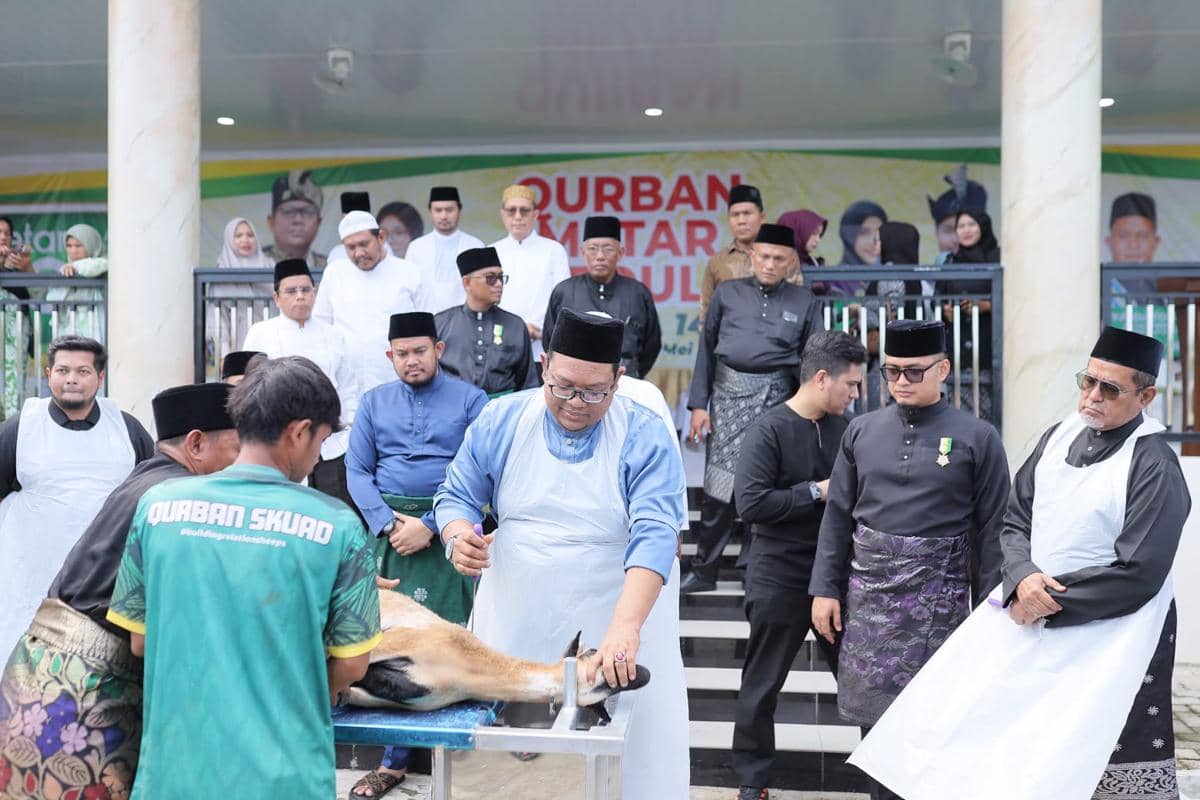 Sembelih 1.900 Domba, Kurban PT Aliyah Rizq Agriculture Raih Rekor As