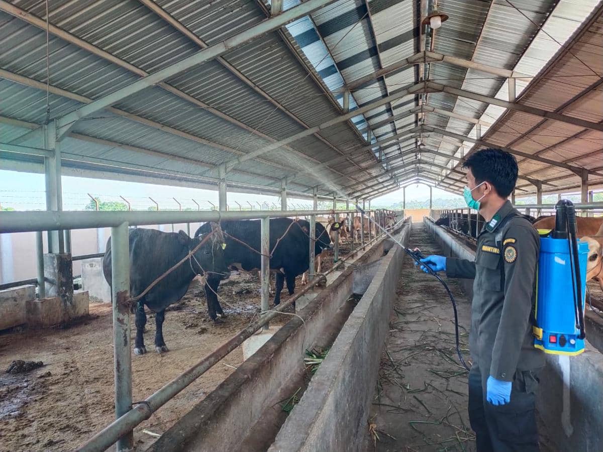 Barantin perketat pengawasan pengiriman hewan kurban di Sulsel pada masa Idul Adha 2026. (Dok. Barantin)