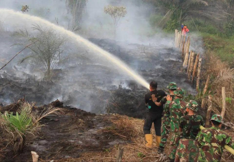 Ilustrasi lahan terbakar