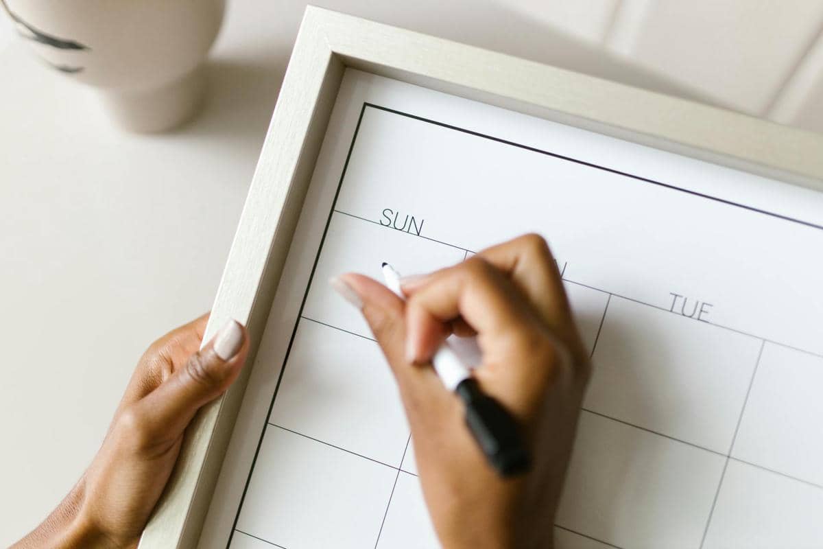 ilustrasi jadwal sesi pengembangan karier