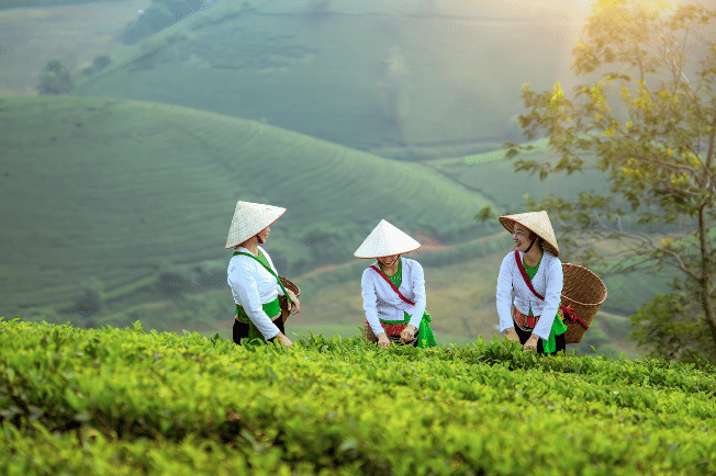 Perempuan petani sedang bekerja di lahan pertanian.