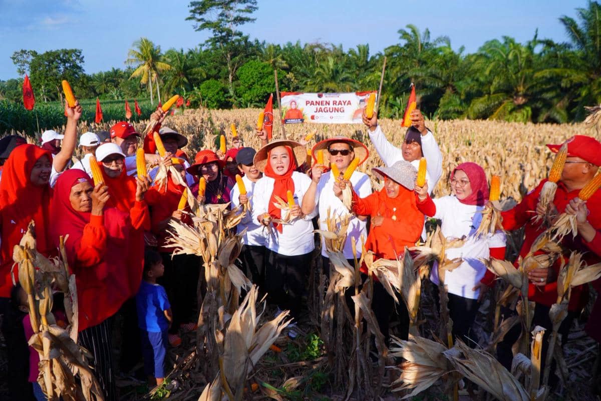 PDIP Lampung Panen Ikan dan Jagung di Lamsel, Dorong Swasembada Pangan