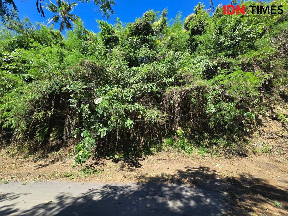 Lokasi lahan tidak produktif di Desa Takmung, yang akan dijadikan sawah oleh Desa Adat Lepang.  (IDN Times/Wayan Antara)