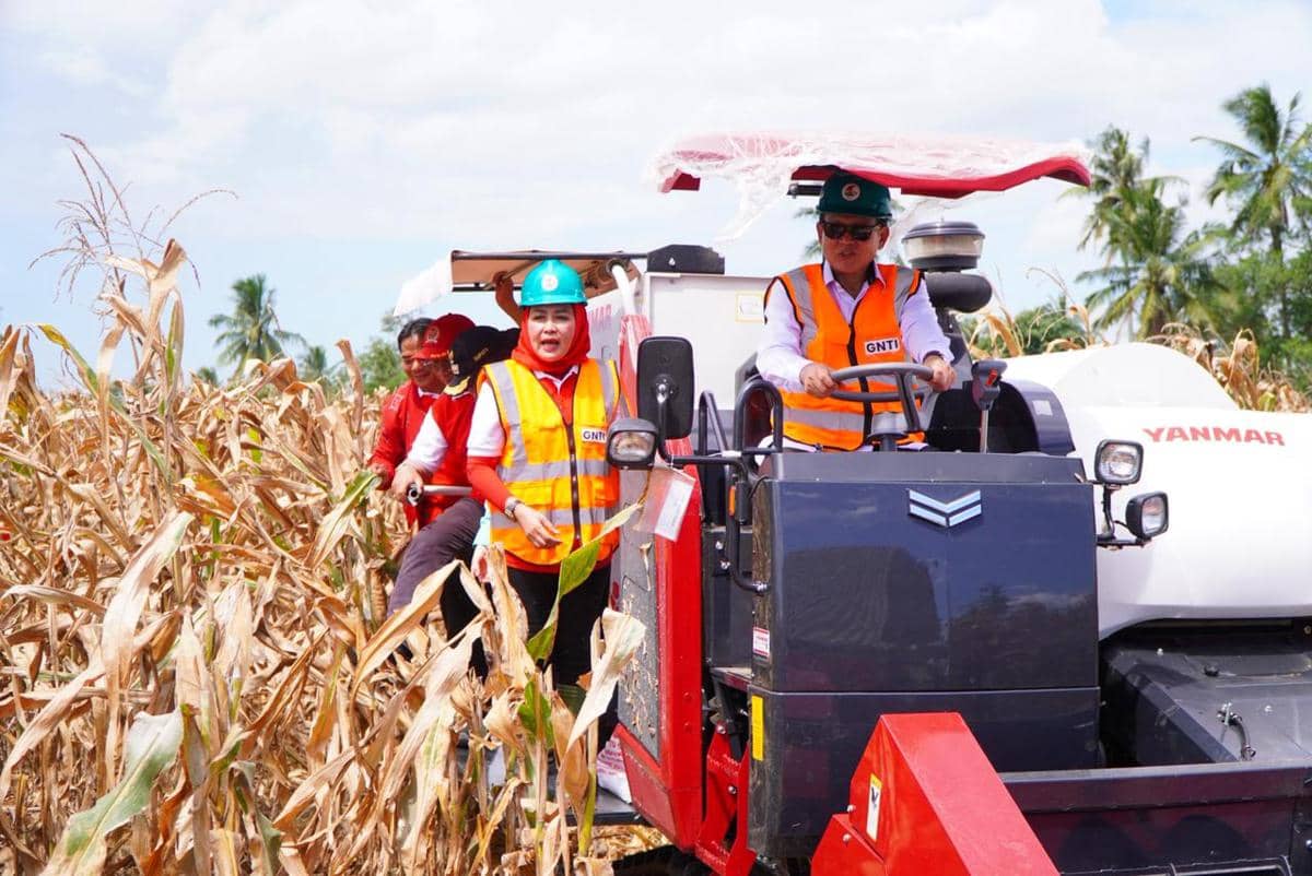 Panen Raya Jagung GNTI, Winarti Tekankan Pentingnya Fasilitas Dryer