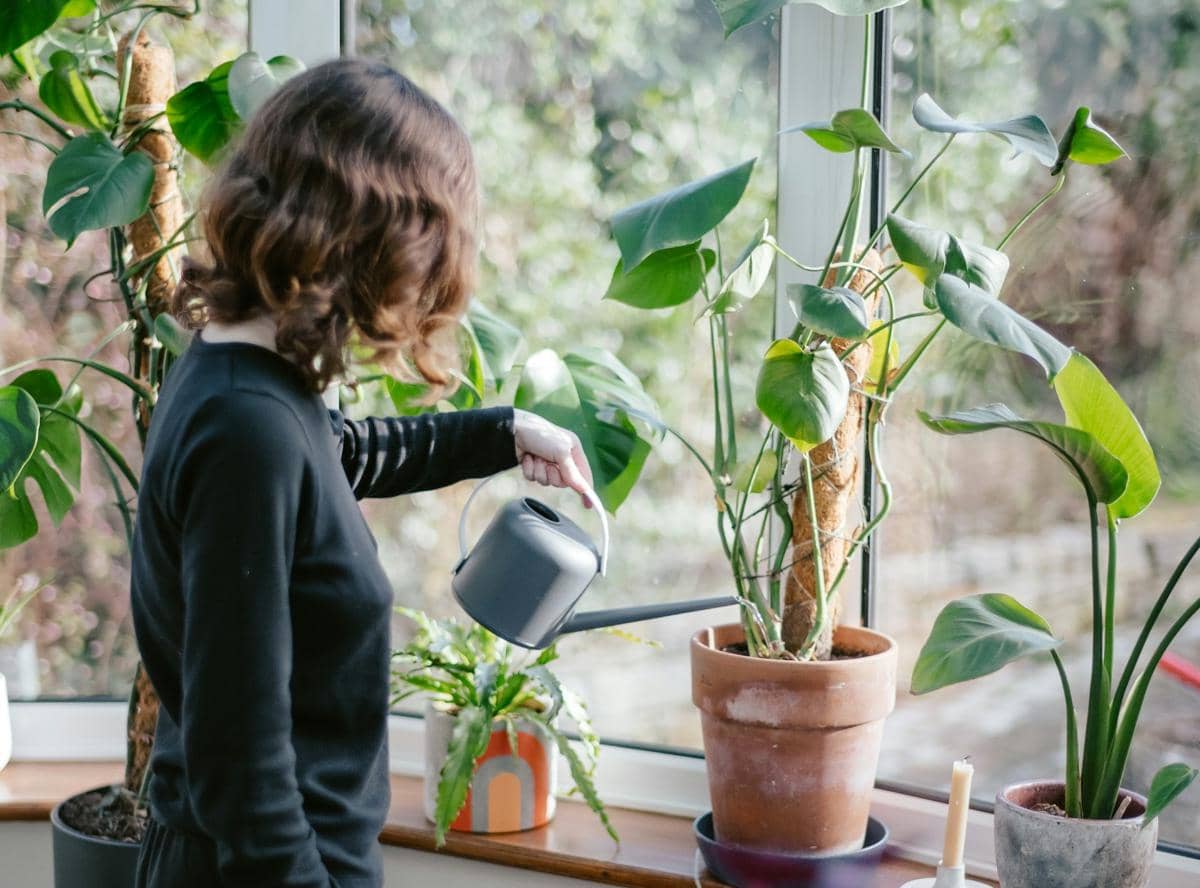 Plant Therapy, saat Menyiram Tanaman Jadi Cara Menenangkan Pikiran