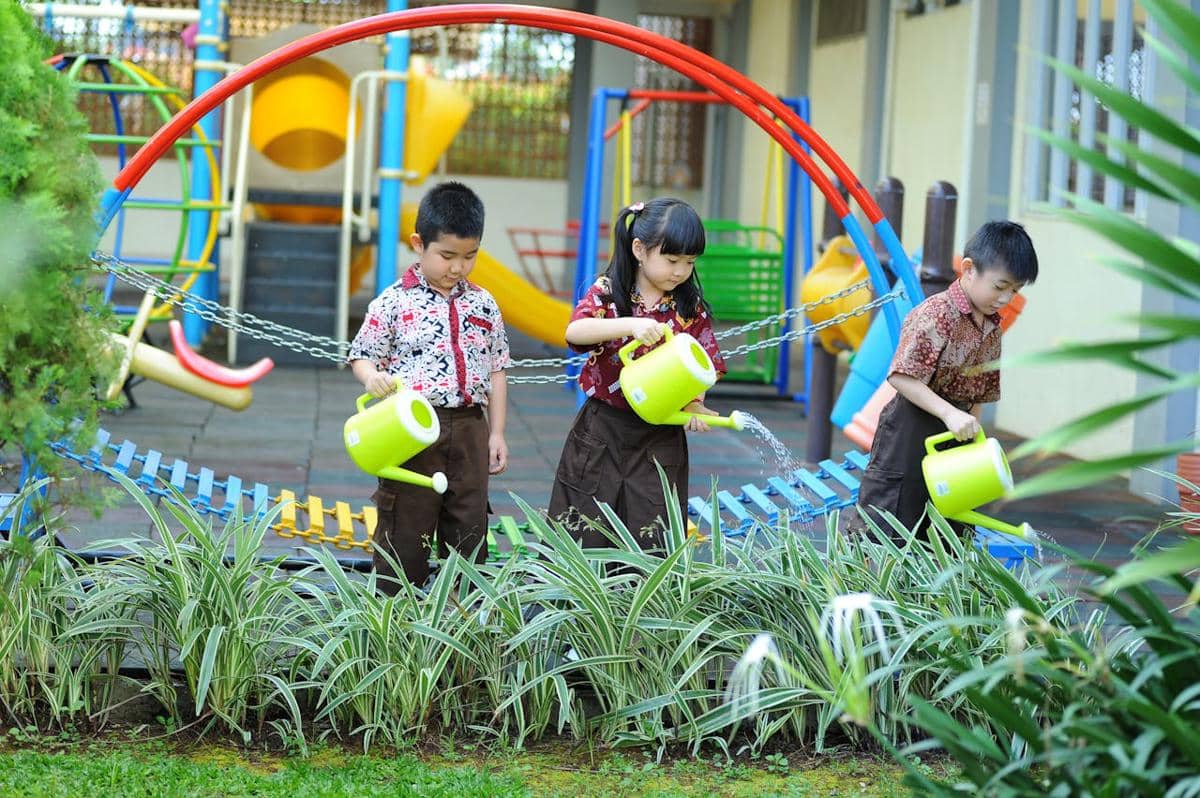 menyiram tanaman