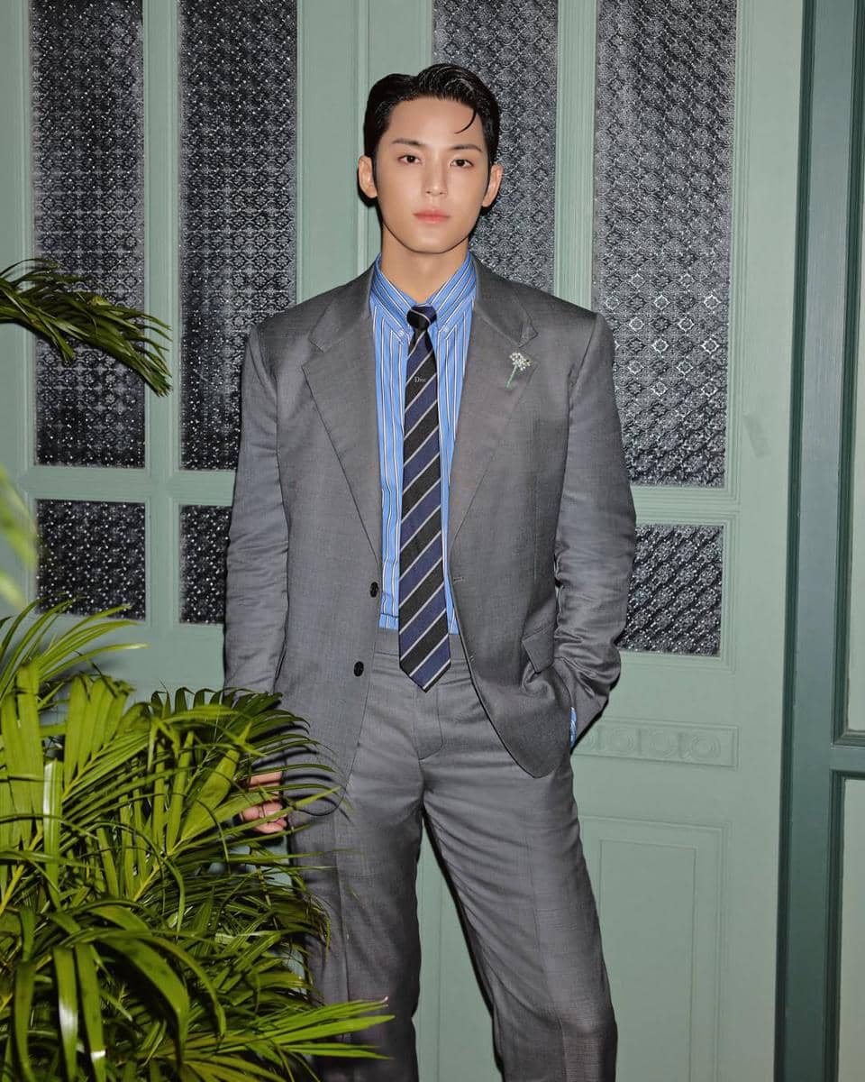 Mingyu SEVENTEEN 