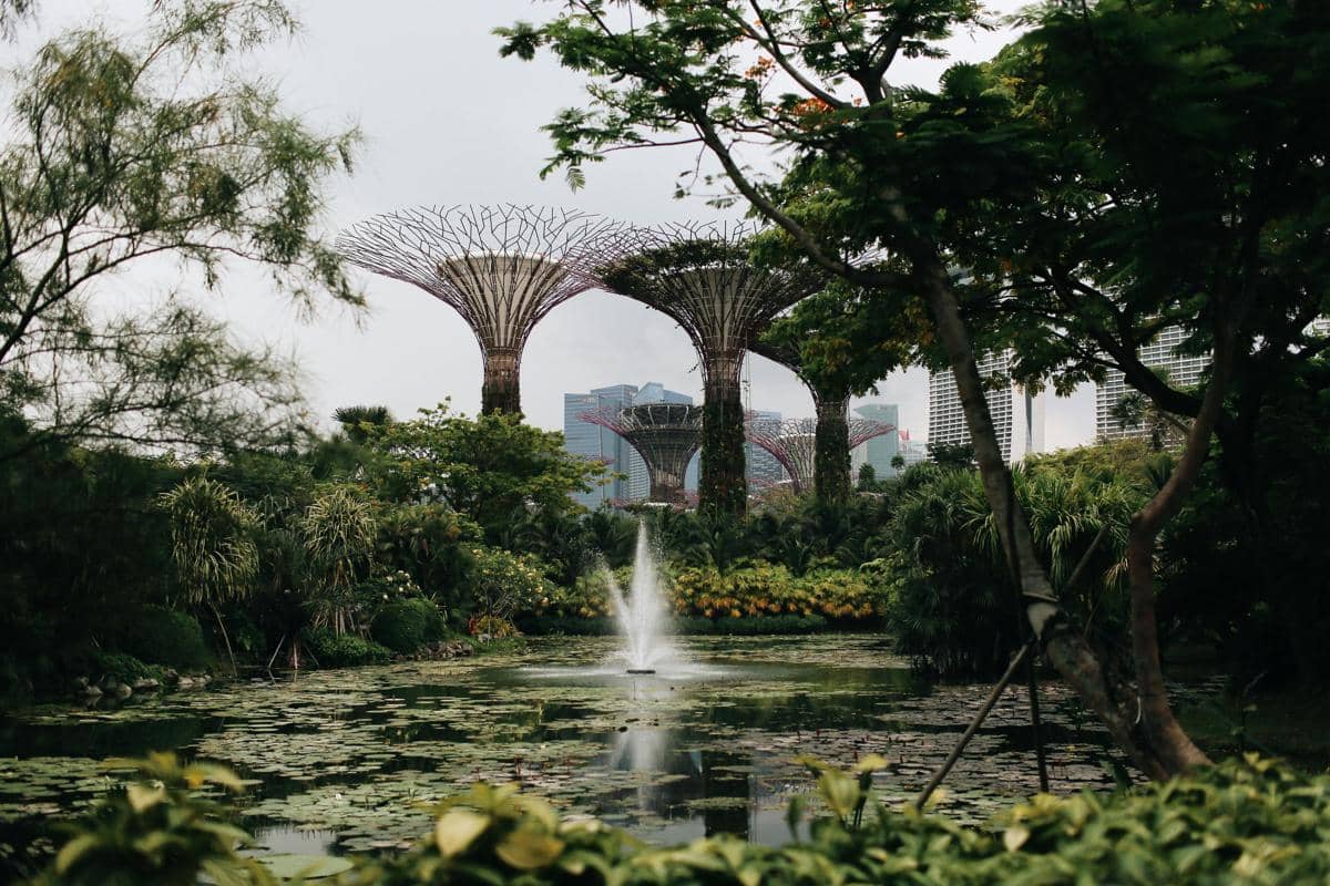 ilustrasi Garden's by the Bay di Singapore