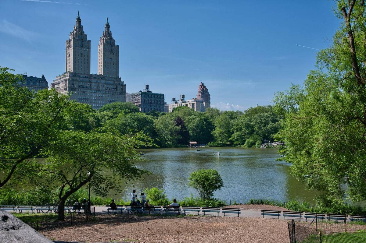 ilustrasi Central Park di New York City