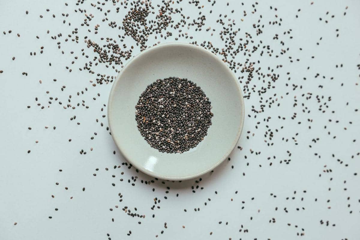 ilustrasi biji chia atau chia seeds