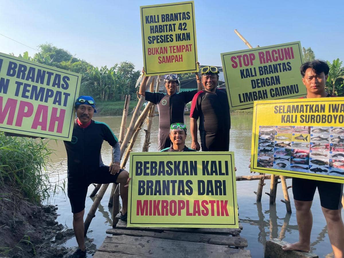 Kali Surabaya Belum Tamat, 34 Spesies Ikan Masih Bertahan Lawan Polusi