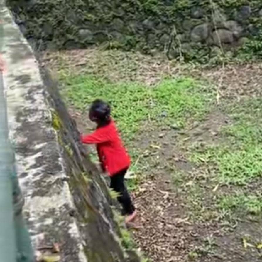 Viral Anak Masuk Kandang Gajah, Pihak Ragunan Duga Demi Konten