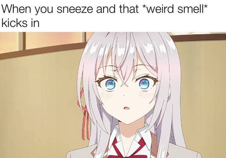 meme anime tentang bau gak sedap
