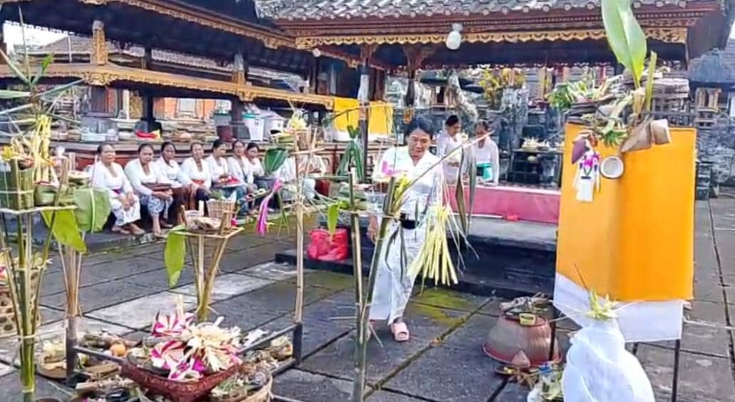 Penampakan Bola Api, Desa Adat Jegu Tabanan Gelar Pecaruan