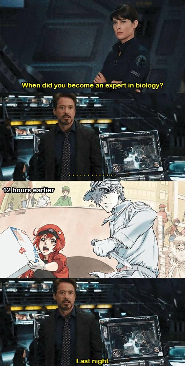 meme anime tentang motivasi