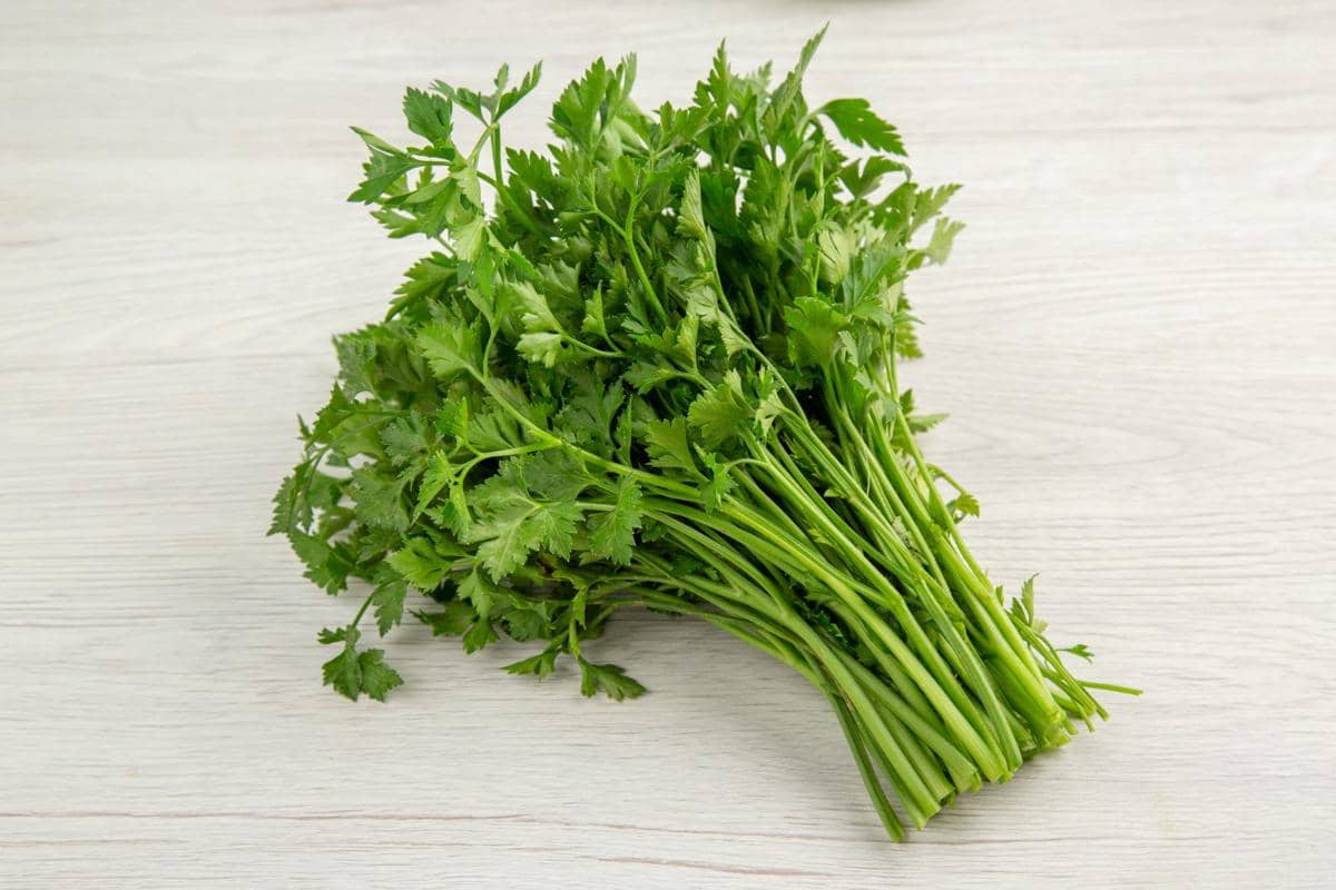 Apakah Seledri Termasuk Sayuran Superfood? Ketahui Faktanya