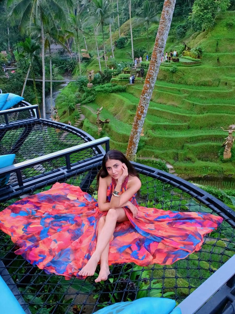 Kajal Himalayan