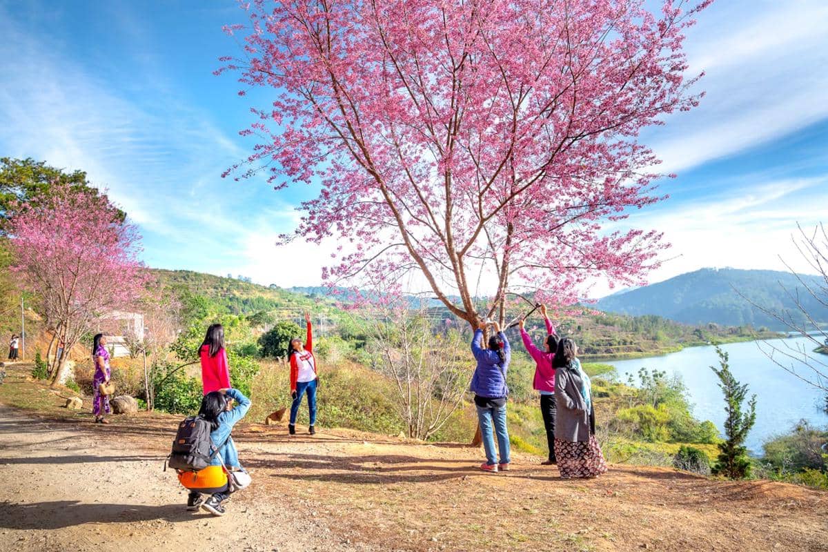 ilustrasi traveling di alam